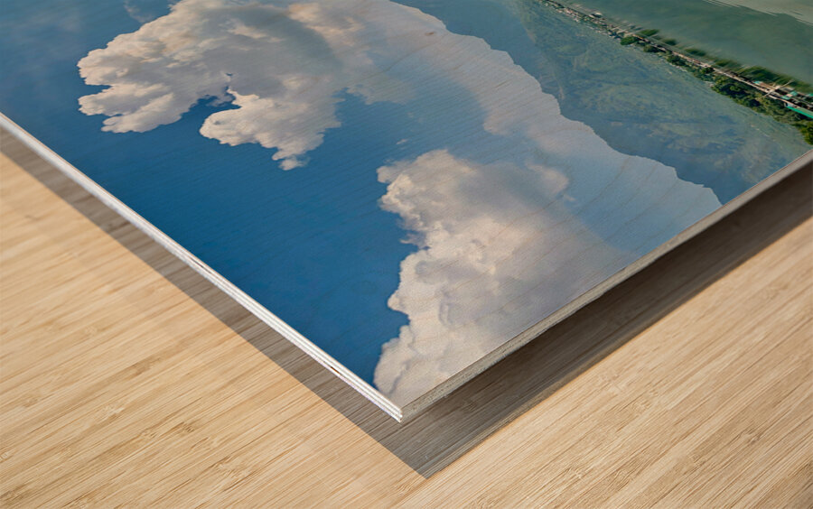 Dal Lake Srinagar 1 Wood print