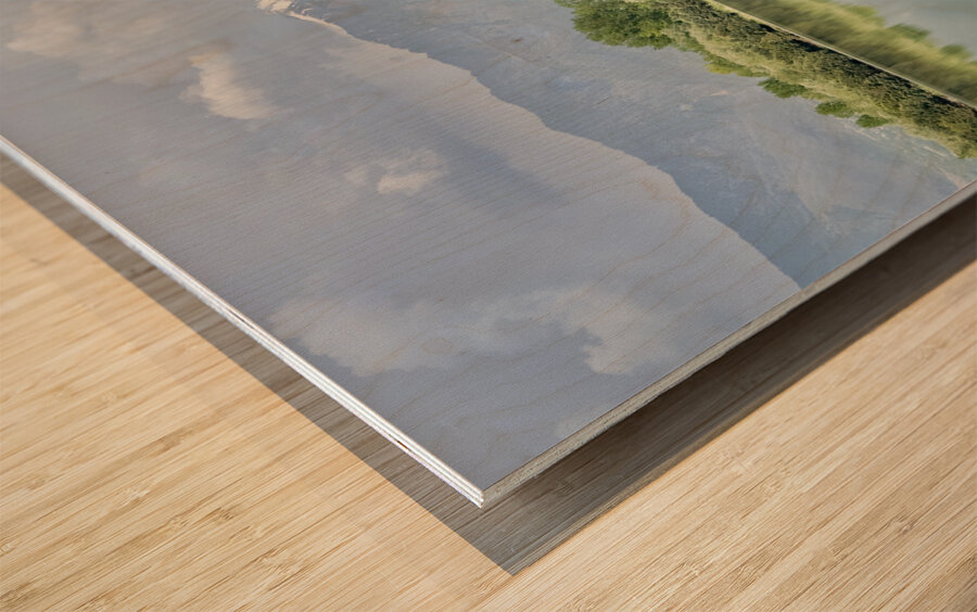 Dal Lake Srinagar 12 Wood print