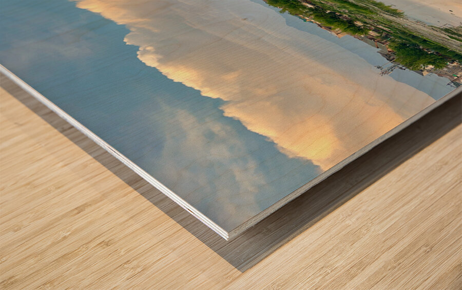 Dal Lake Srinagar 10 Wood print