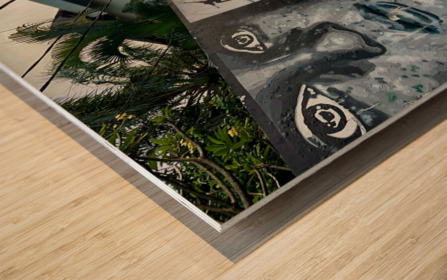 Bali Art Sunset Wood print