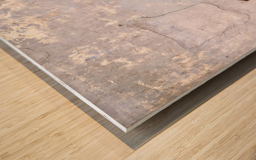 Break Time Wood print