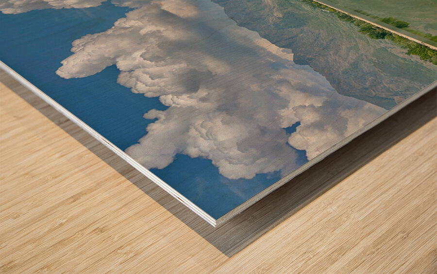 Dal Lake Srinagar 5 Wood print