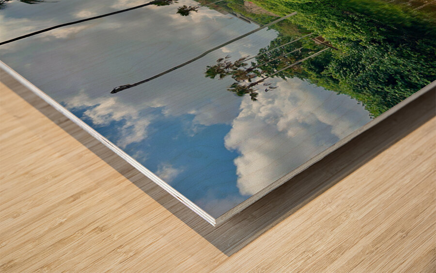 Bali Reflections Wood print