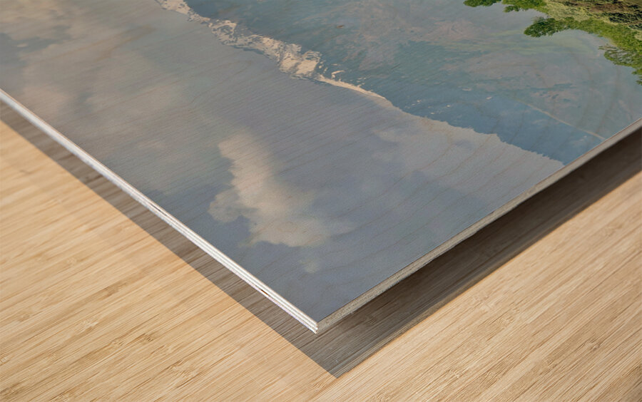 Dal Lake Srinagar 8 Wood print