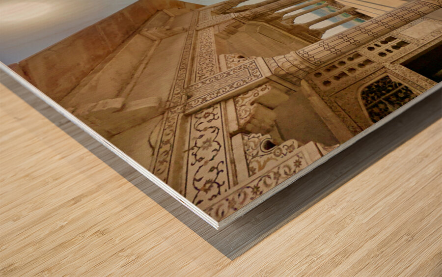 Agra Fort 20 Wood print