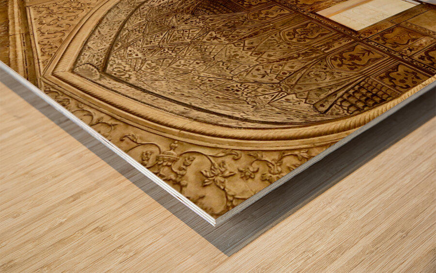 Agra Fort 18 Wood print