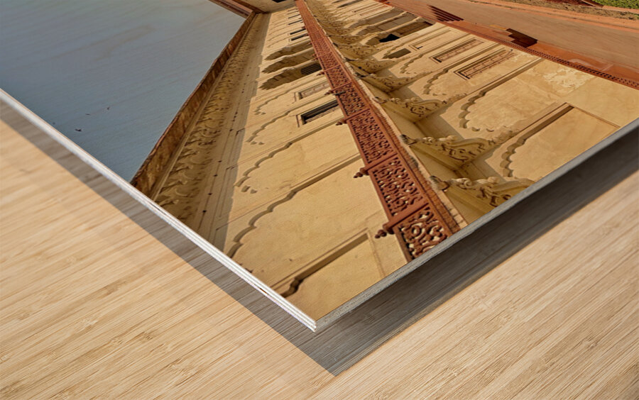 Agra Fort 6 Wood print