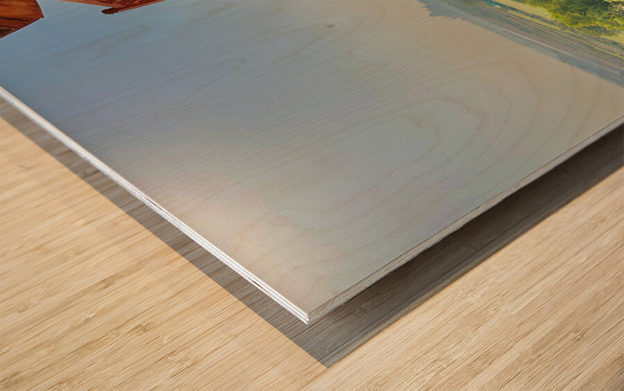 Agra Fort 13 Wood print