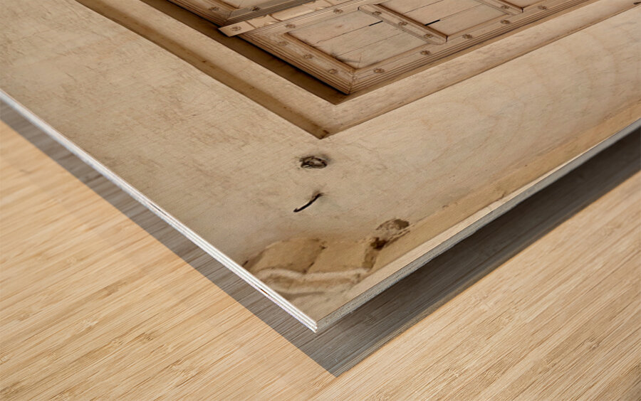 Agra Fort 7 Wood print