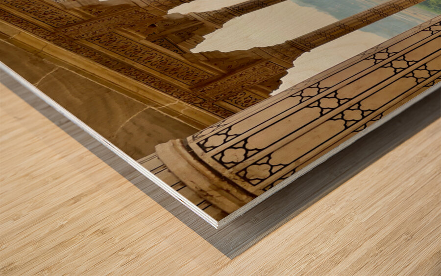 Agra Fort 8 Wood print