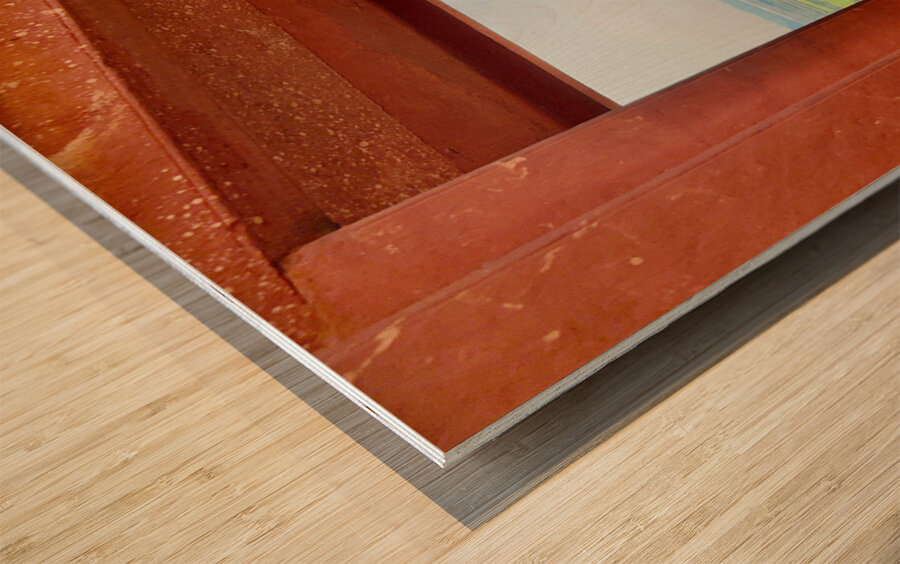 Agra Fort 15 Wood print