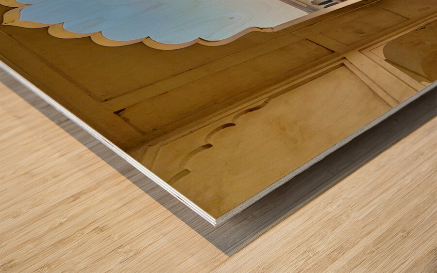 Agra Fort 24 Wood print