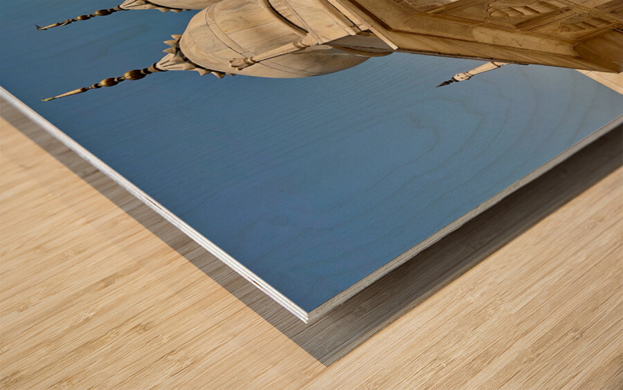 Agra Fort 23 Wood print