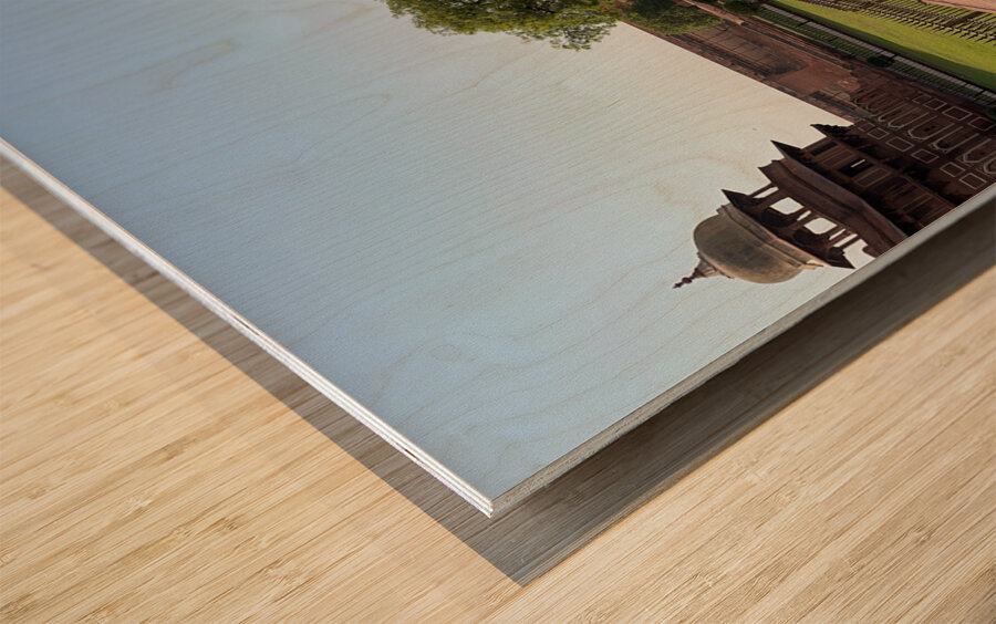 Agra Fort 11 Wood print