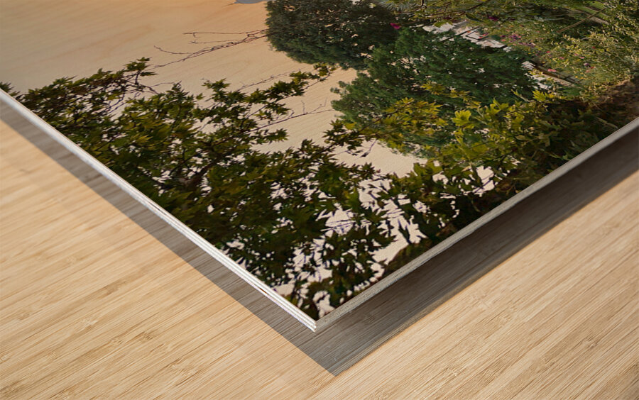 Golden Temple Amritsar 4 Wood print