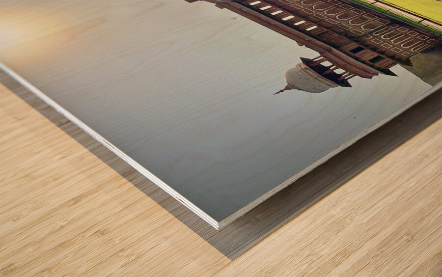 Agra Fort 25 Wood print
