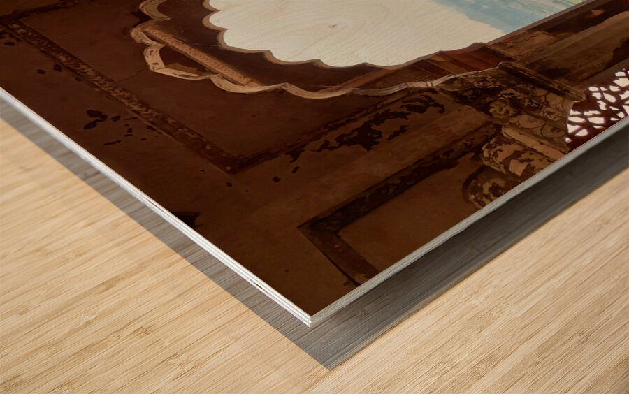 Agra Fort 14 Wood print