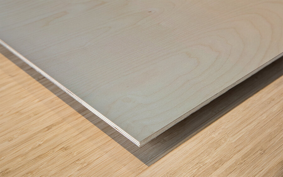 Agra Fort 22 Wood print