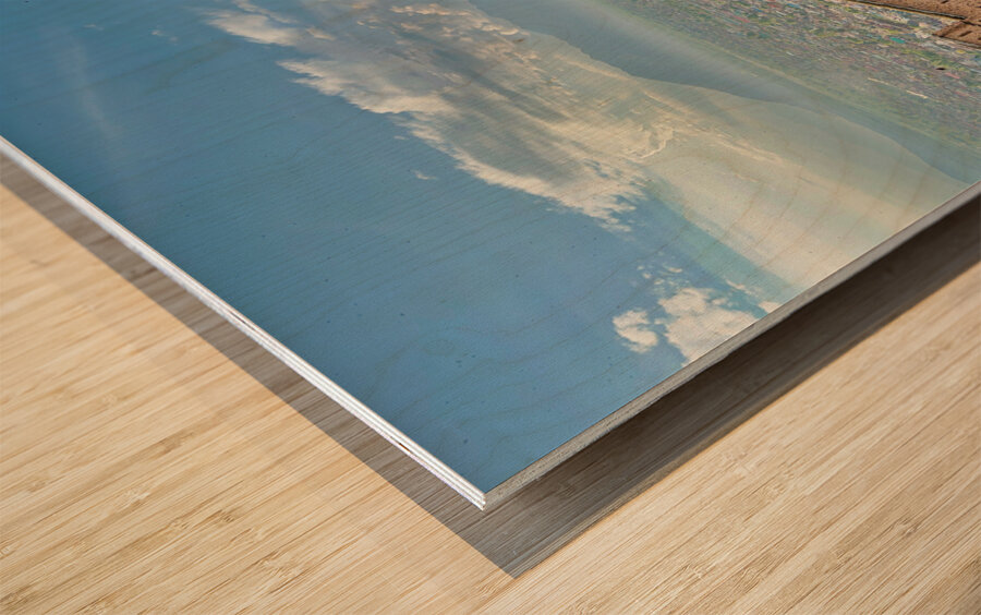 Hari Parbat Srinagar 1 Wood print