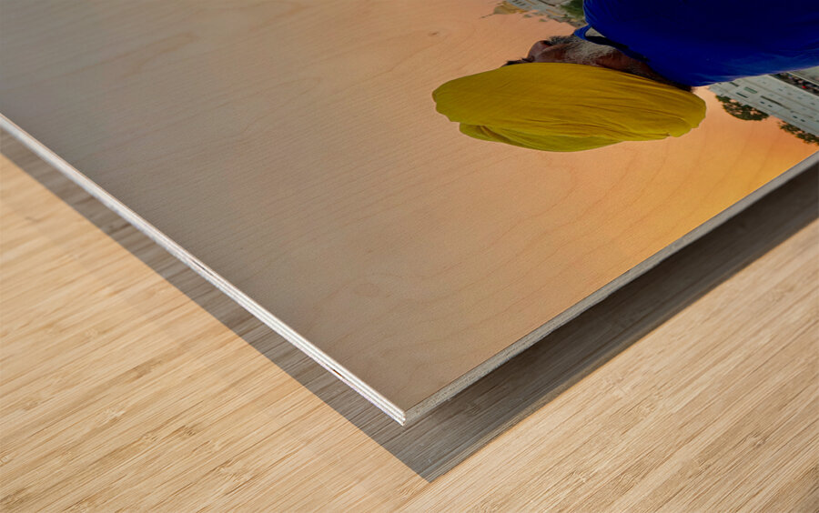 Golden Temple Amritsar 7 Wood print