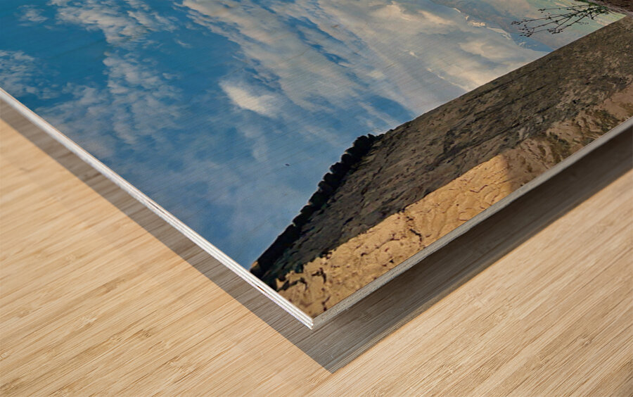 Hari Parbat Srinagar 4 Wood print