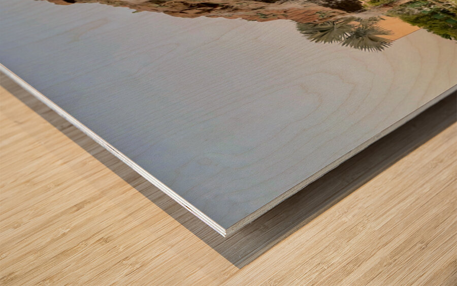 Prem Mandir Vrindavan 4 Wood print