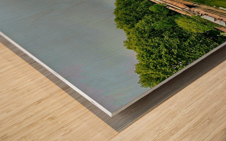 River Reflections in Srinagar Wood print