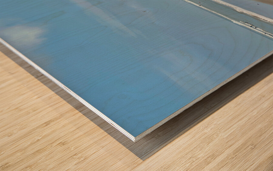 Thinking on the Beach Wood print