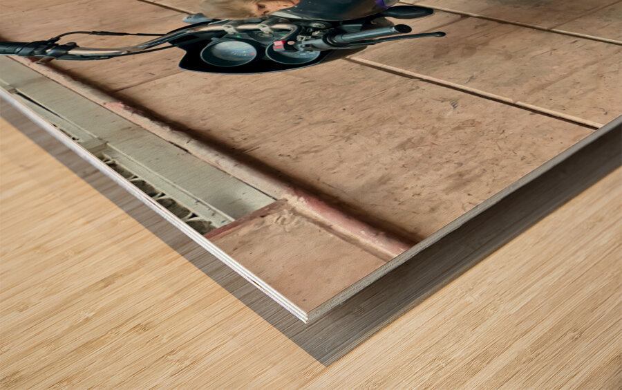 Snack Rider Wood print