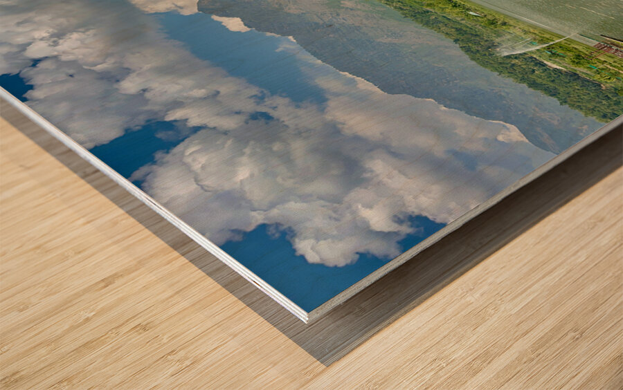 Water Fountains Wood print