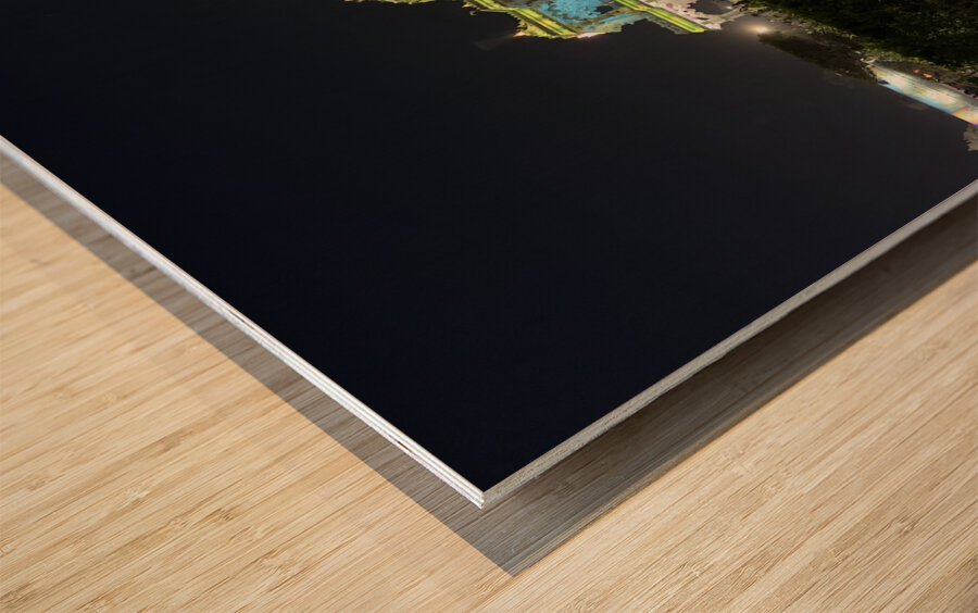 Prem Mandir Vrindavan 6 Wood print