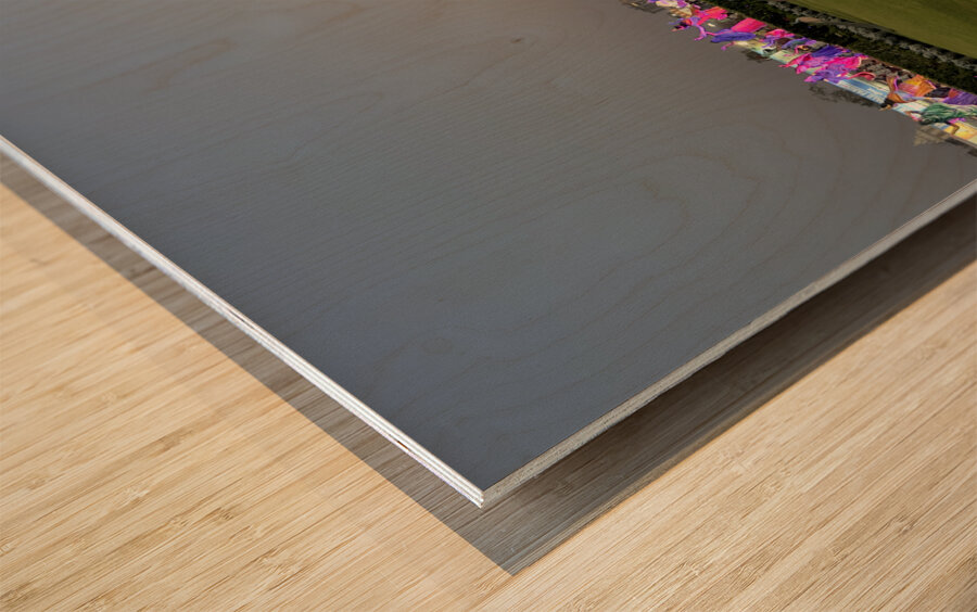 Prem Mandir Vrindavan 5 Wood print