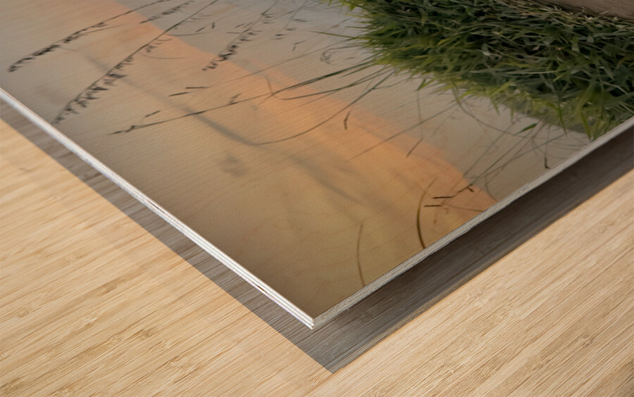 Ella Mountain Dog Wood print