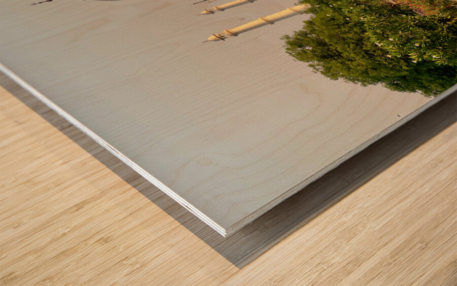 The Taj Mahal Collection 7 Wood print