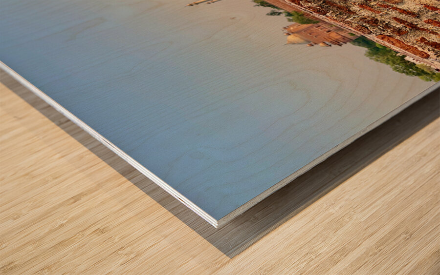 The Taj Mahal Collection 10 Wood print
