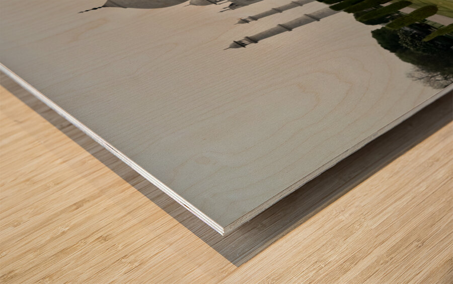 The Taj Mahal Collection 16 Wood print