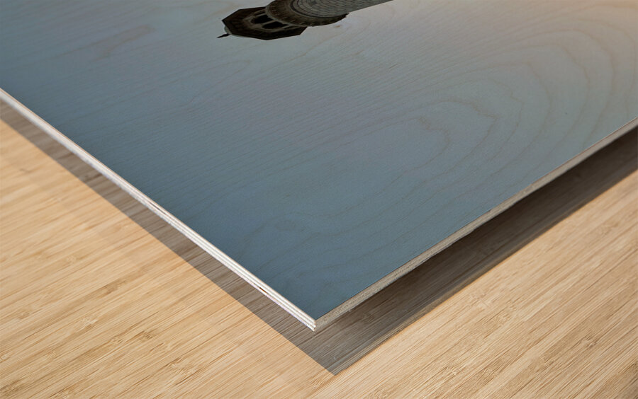 The Taj Mahal Collection 21 Wood print