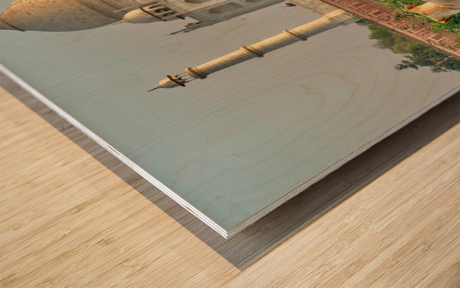 The Taj Mahal Collection 9 Impression sur bois