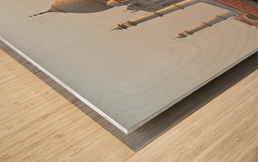 The Taj Mahal Collection 11 Wood print