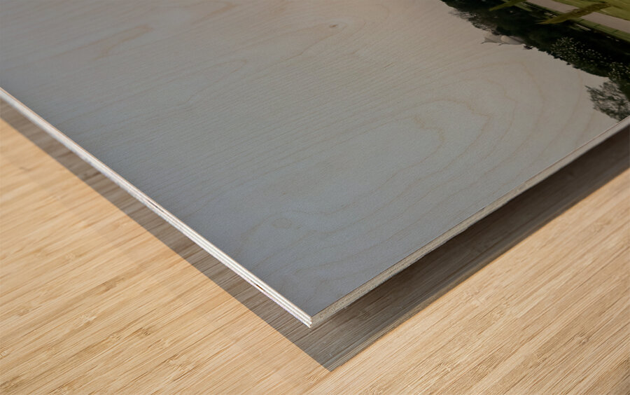 The Taj Mahal Collection 15 Wood print