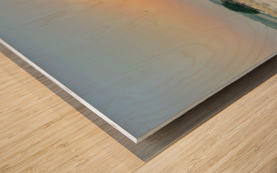 The Taj Mahal Collection 20 Wood print