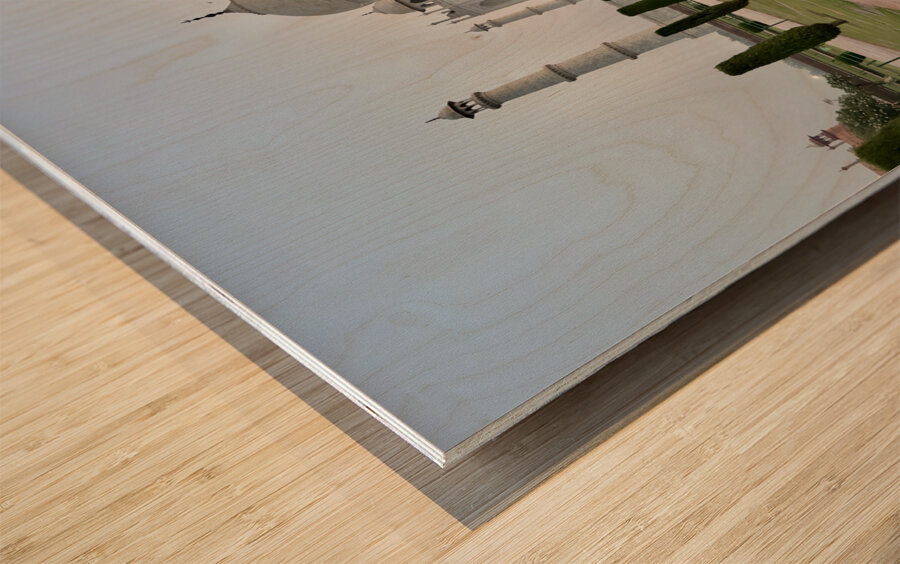 The Taj Mahal Collection 18 Wood print