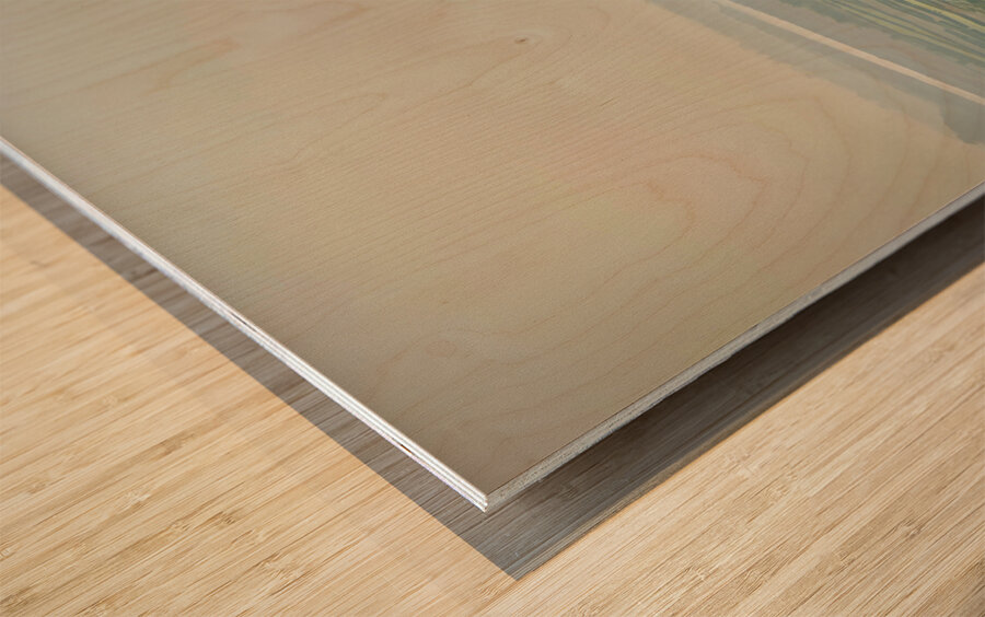 The Taj Mahal Collection 5 Wood print