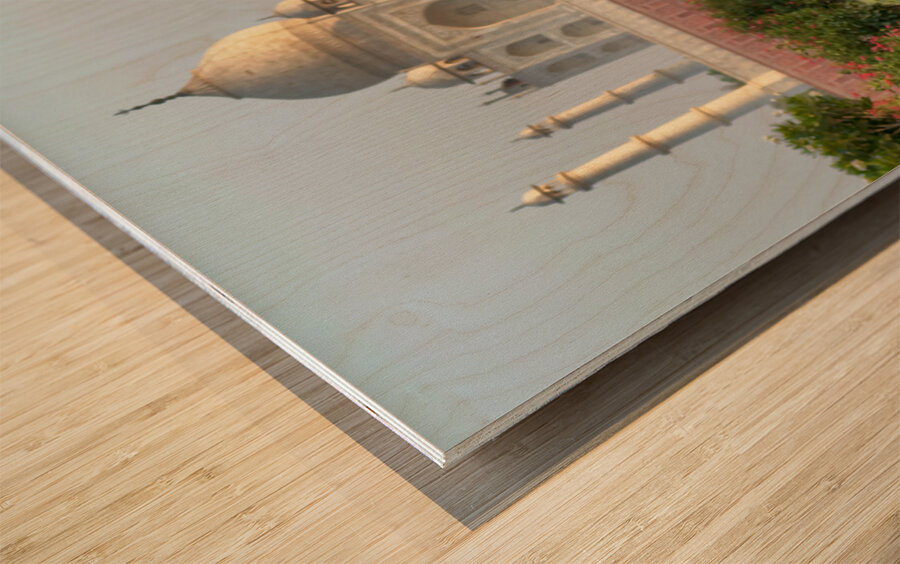 The Taj Mahal Collection 1 Wood print