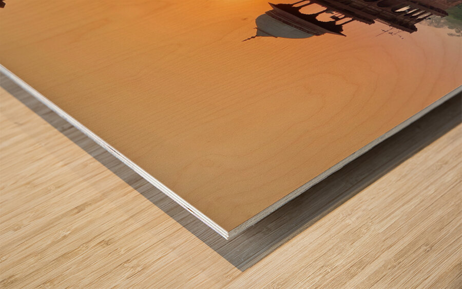 The Taj Mahal Collection 23 Wood print