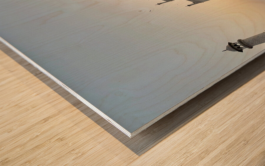 The Taj Mahal Collection 19 Wood print