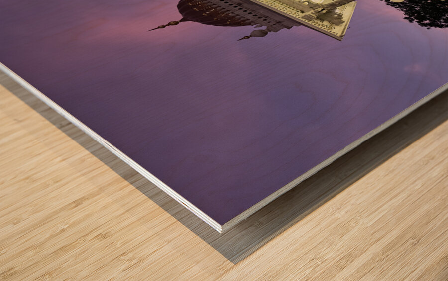 Mysore City Hall Statue Wood print