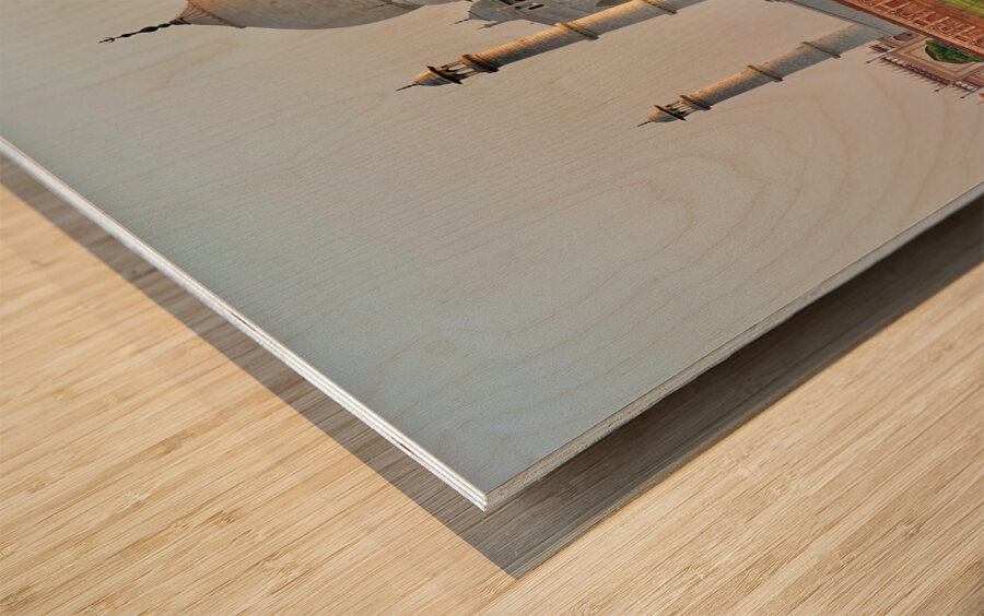 The Taj Mahal Collection 12 Wood print