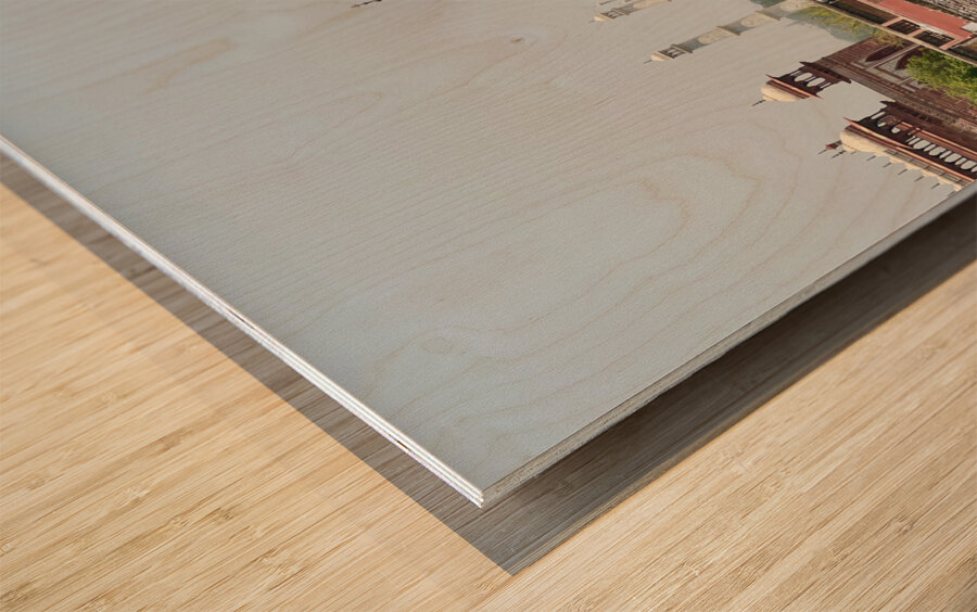 The Taj Mahal Collection 3 Wood print