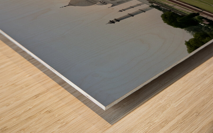 The Taj Mahal Collection 17 Wood print